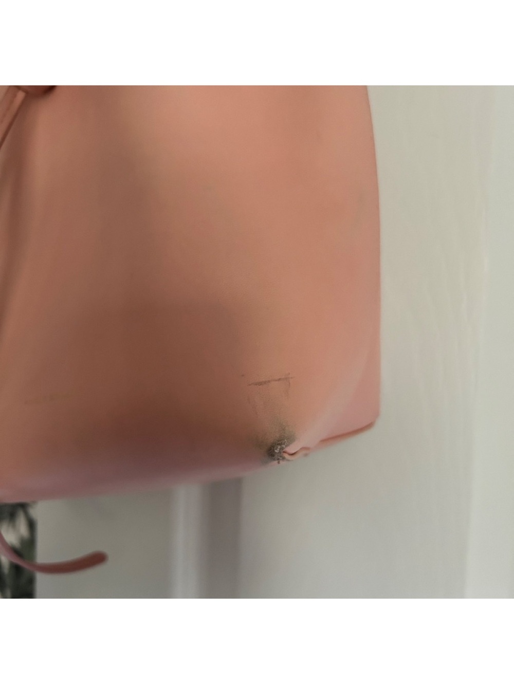 Mansur Gavriel Bucket Bag in Blush